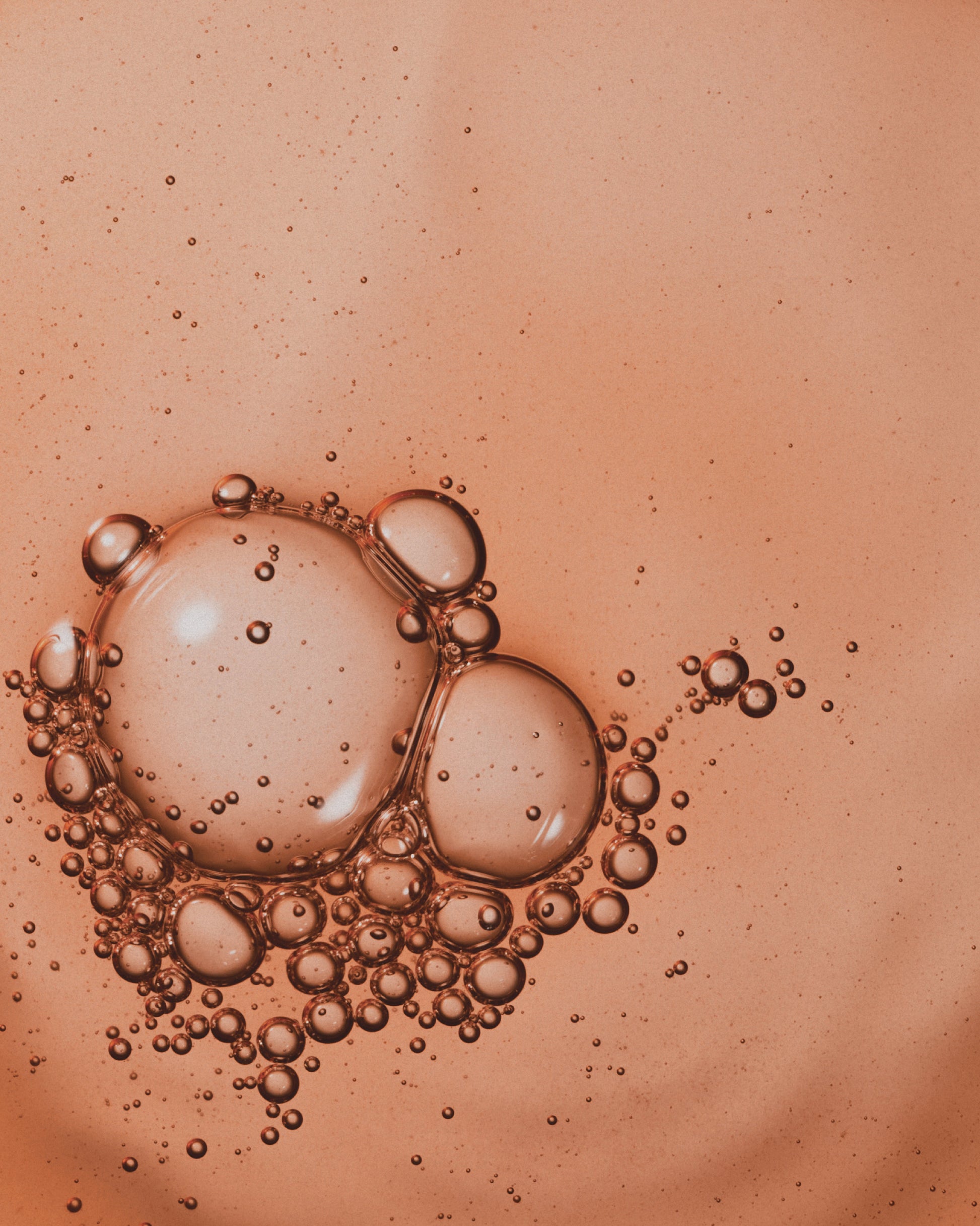 Biotic+ Scalp Reset Infusion | Education
