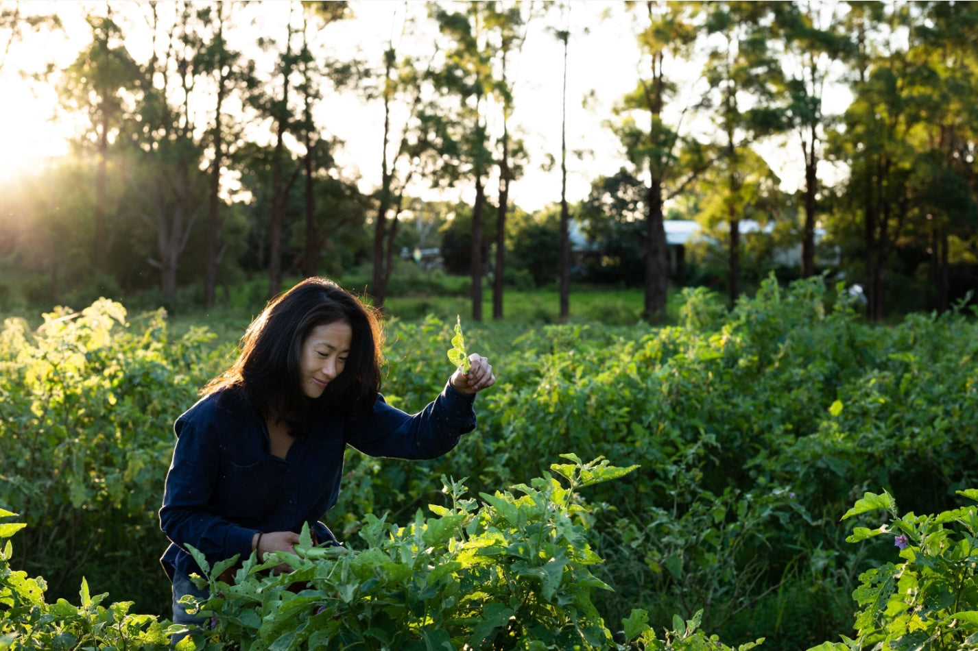 Heirloom Recipes 06. Palisa Anderson's Stuffed Bitter Melon in Chicken Broth