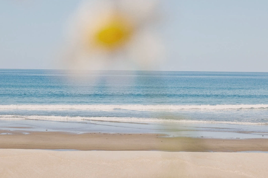 Inside the Sans Team’s Travel Bags