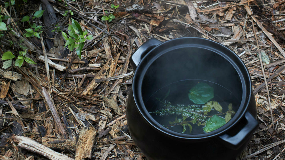 Foraged Forest Tea