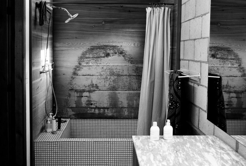 Su Wu, Writer + Art Critic